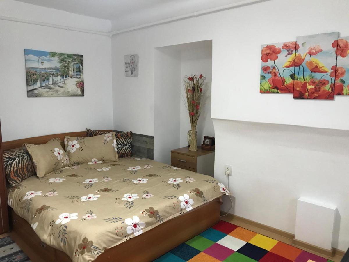 The Charming One Apartment Brasov