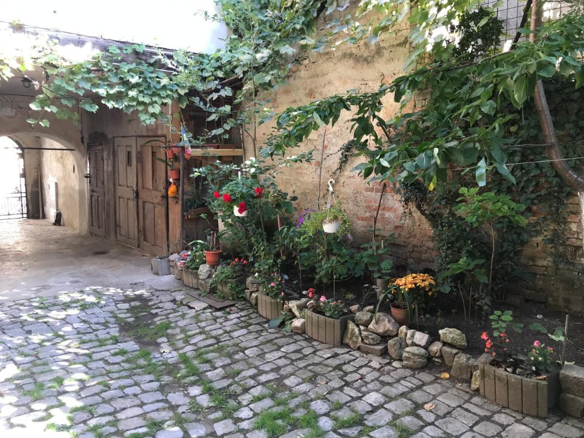 The Charming One * Braşov